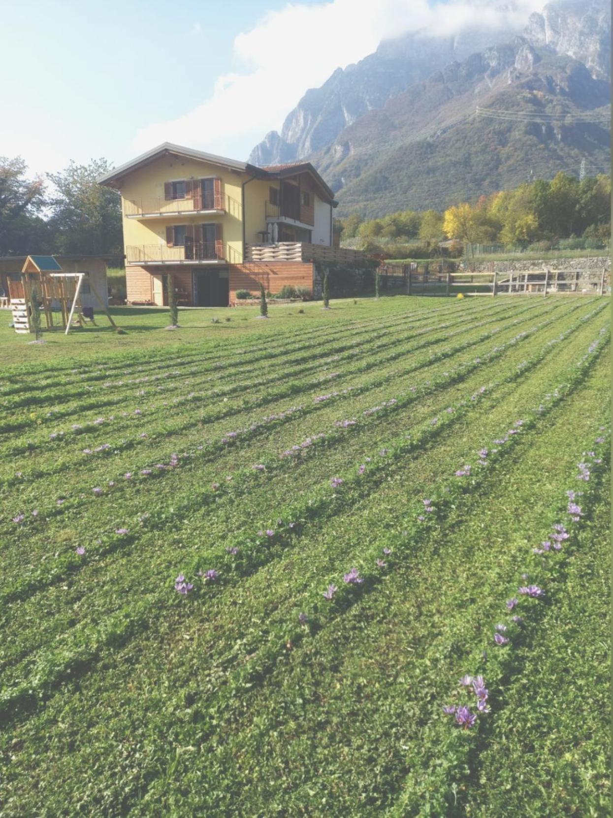 Azienda Agricola Agriturismo I Sei Petali Capo di Ponte Esterno foto